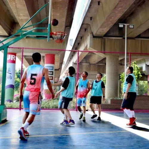 大橋下的親子時光 遛娃與健身的休閑新選擇