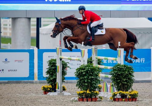 馬術與全民健身 在優雅與活力間擦出別樣火花